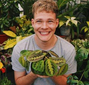 Joey's Jungle Plants