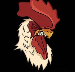 Mardy Rooster