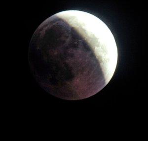 Nikon P1000 Super Zoom Photography