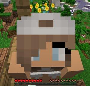 Princesscraft05