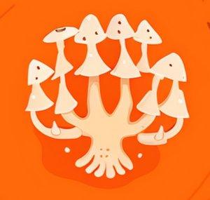 The Bitwig Mycelium