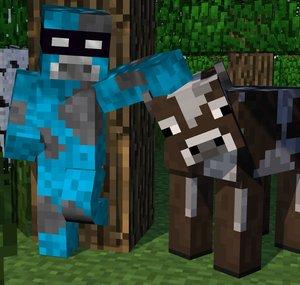 TheWaterCow