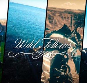 Wild Fellows