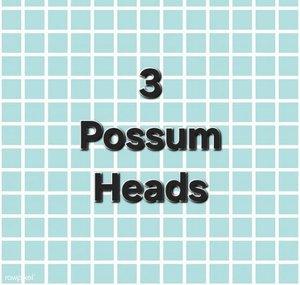 3 Possum Heads
