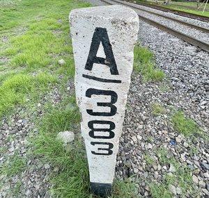 A383 Models