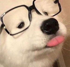 Agente Dog