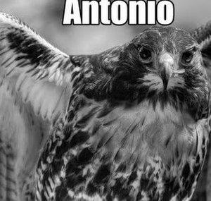 Antonio “theMelograno1” Lazzari