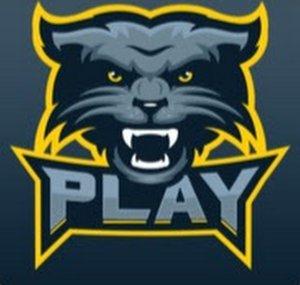 Playcasters