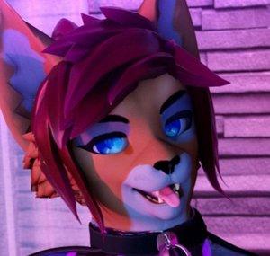 RazQ Cat