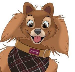 Reynard The Pomeranian