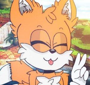 Tails The Fox