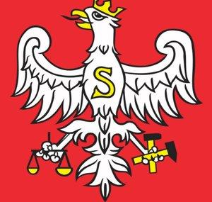 UltimateTeamPolish