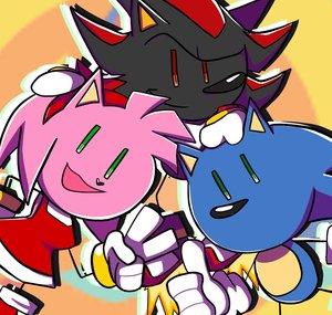 Amy's RASKALS