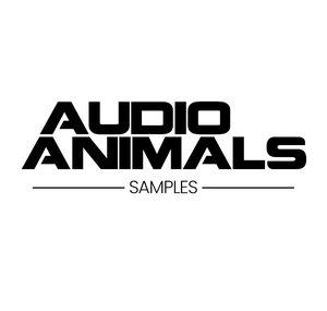Audio Animals Samples