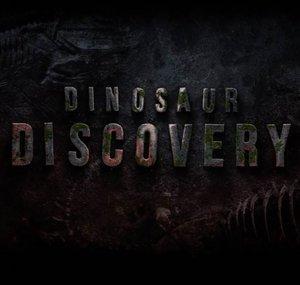 Dinosaur Discovery 