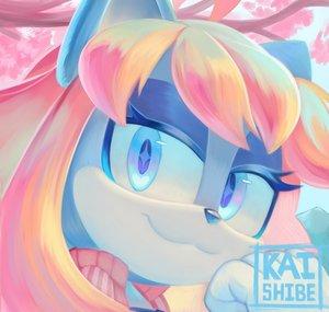 HannahTheCat