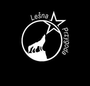 Leśna Przygoda