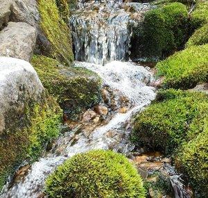 LiquidLandscapesInc