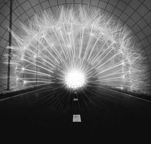 Objetivo de Luz