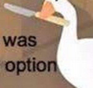 OP TP