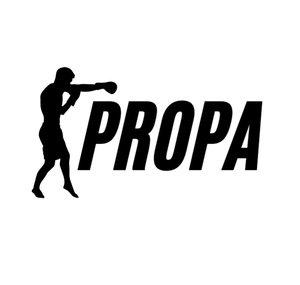 Propa Boxing 