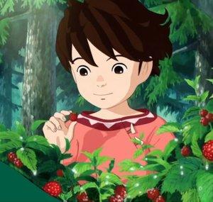 Ronja, the Robber's Daughter