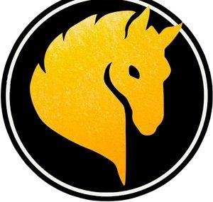 Stallion Pictures