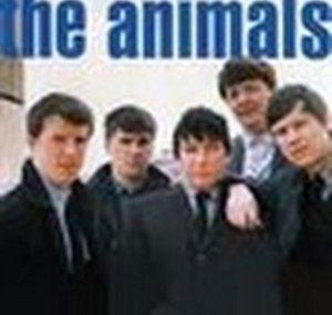 The Animals Tribute Channel (unofficial)