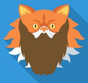Bearded Kitty