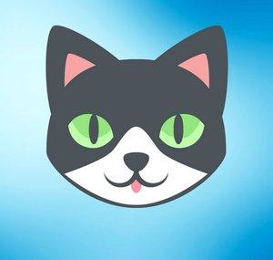CAT Play - Tops