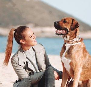 Hundetussi