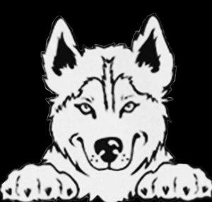 Huskie
