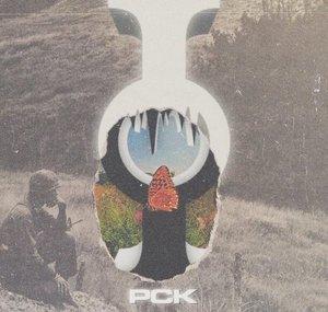 Ice PCK