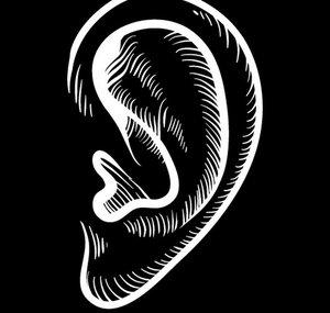 Max Volume Silence