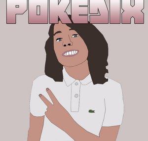 PoKeDIx