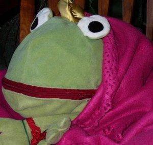 rospy froggy