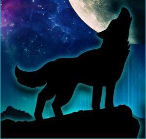 theonlyLoneWolf