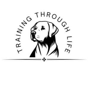Training Through Life