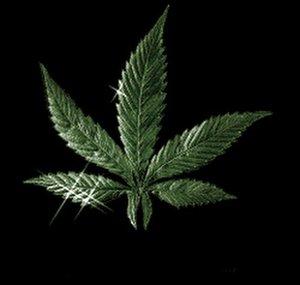 WeedHipHop