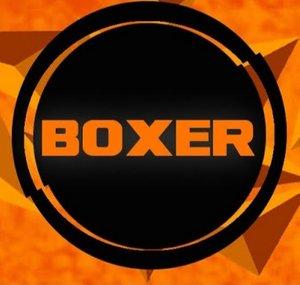 Boxer Gaming