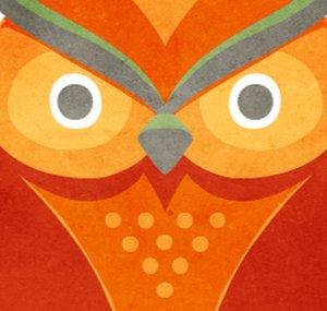 Eyebrow Owl