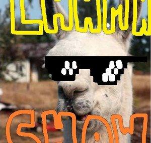 LhamaShow