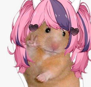 Pink Hamster