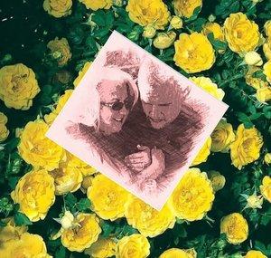 Yellow Rose Homestead