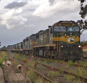 AussieTrainChaser