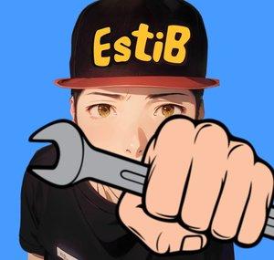 Estib PLAYZ