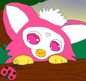 Furbish