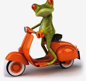 Moto Frogger