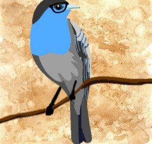 NerdBirdMR