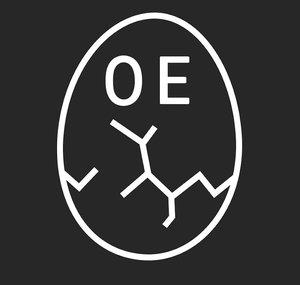 OVERCHARGED EGG